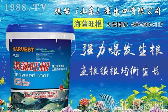 С���Nֲ�r�g��δ_����2020��С���Nֲע����Щ���}��