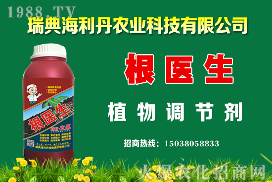 �Ͳ���ô��������߮a(ch��n)�����Ͳ˿���������ʩ����Щ��