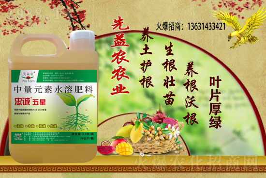 花生價格還能繼續(xù)上漲么?2020-11-10部分區(qū)域花生價格詳情