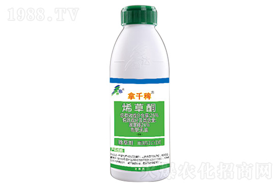 ϩ��ͪ���݄��r���߄�2020.11.14