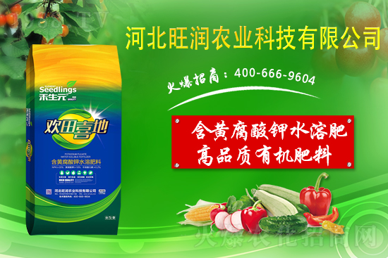 ���@����Ĥ��ô�Ч���ã����@䁷���Ĥ��Ҫ�c��