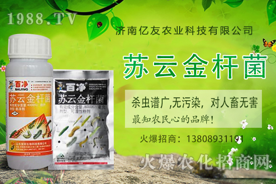 �S�ҷNֲ��(y��ng)ԓע����Щ���(xi��ng)���S�ҷNֲ�r(sh��)�g�����g������