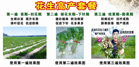 �����߮a(ch��n)�ײ�-�r(n��ng)�̘�(l��)