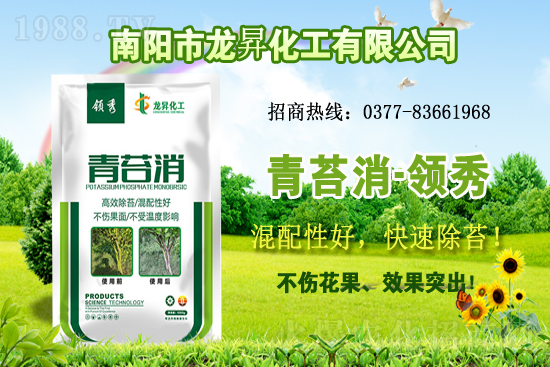 �󶹹����������r����m(x��)�ϝq�����ش󶹃r������