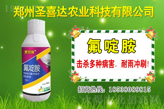 �������N��������Щ���������Ժ�ʲô�����׷N��