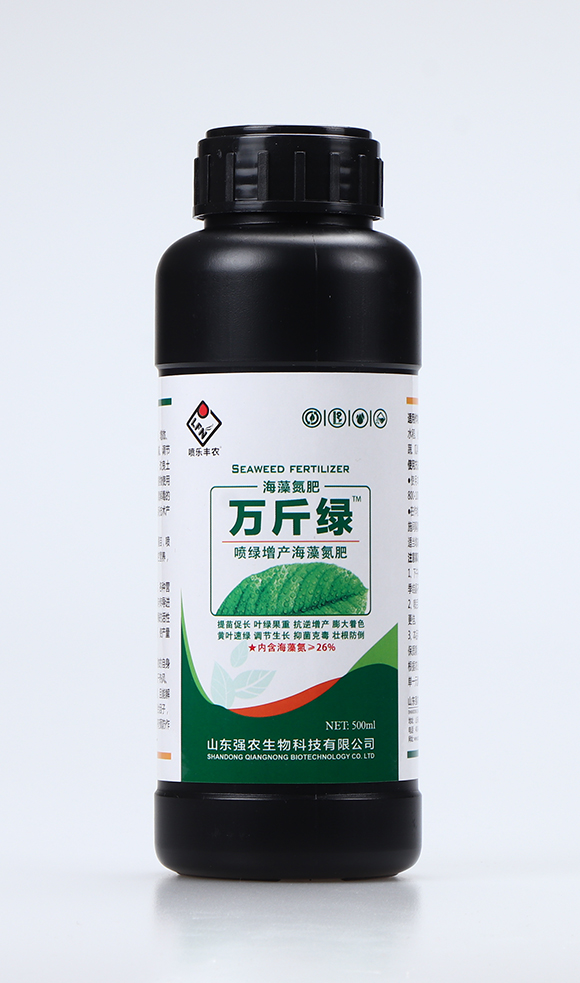 ���G���a���嵪��1