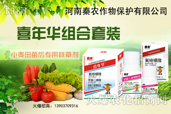 小麥為什么要冬前除草?選什么除草劑效果好?