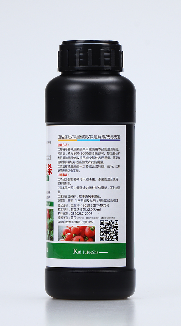 �����ҽ^��3