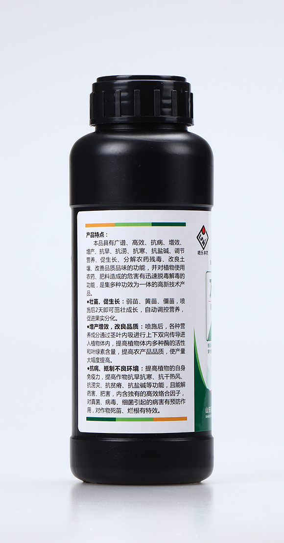 ���G���a���嵪��2