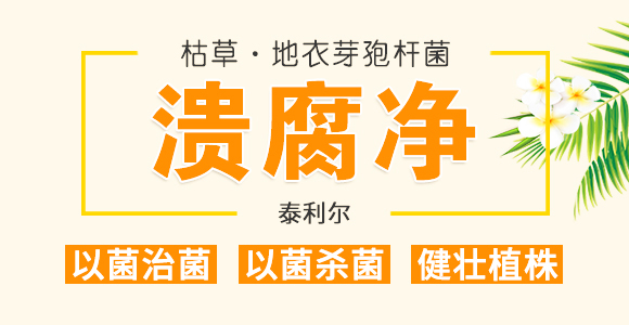 50g��������-��ʩ��_01