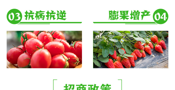 �w����-��Ч-�����r(n��ng)�I(y��)_06