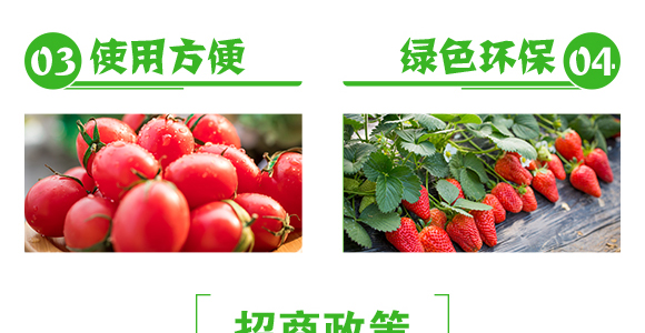 植物生長轉(zhuǎn)移素-彩壯-民德利華_06