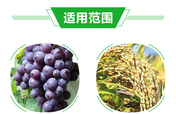 ������-�����r(n��ng)��_06