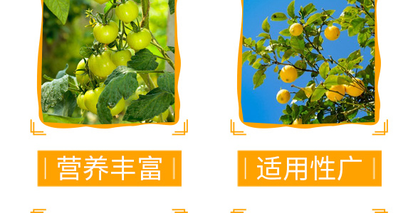 �����������a(ch��n)��-������-��٤�z_06