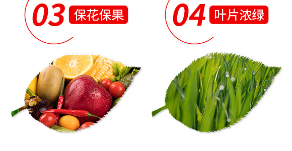 ϡ��΢��Ԫ��ˮ�ܷ���-���M�@-ؐ��(l��)_06