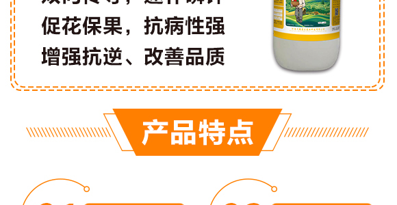 50g��������-��ʩ��_05