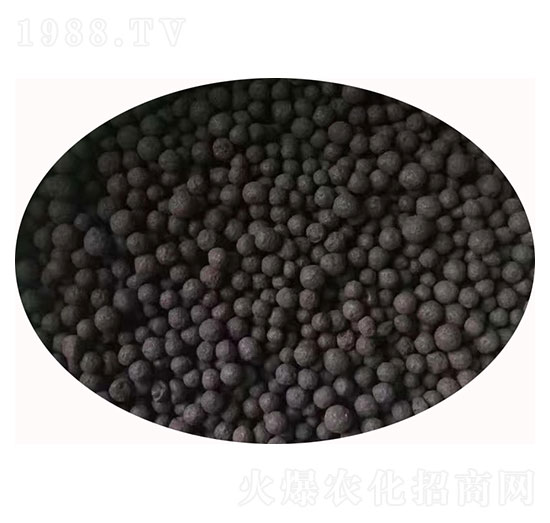 ���w���׏�(f��)��΢��������w��-������-�۝�(r��n)�ʘI(y��)