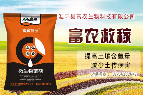 2020-11-24日各地花生價(jià)格行情