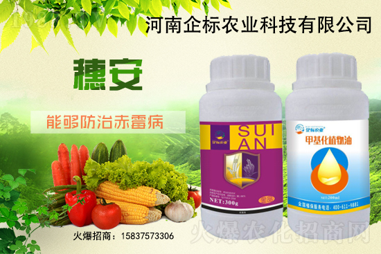 С����ù��Σ�����c������С����ù����ʲôˎ��