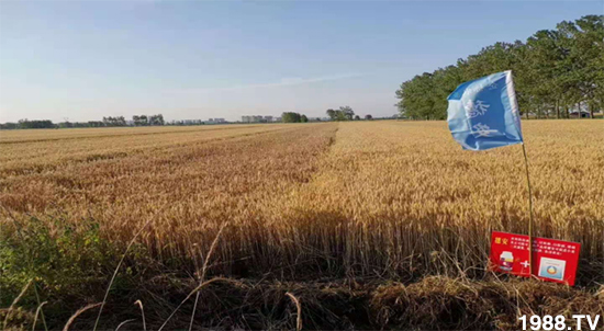 С����ù��Σ�����c������С����ù����ʲôˎ��