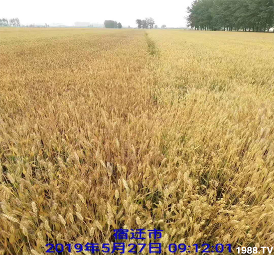 С����ù��Σ�����c������С����ù����ʲôˎ��