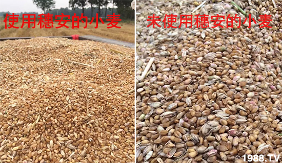 С����ù��Σ�����c������С����ù����ʲôˎ��