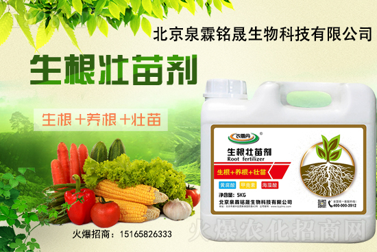 һ���y����2020-11-25�|�����ϝqѸ��