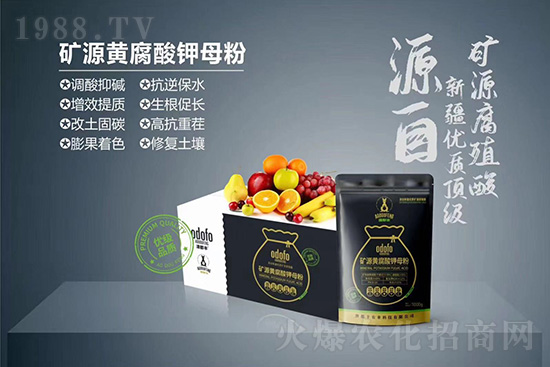 ʲô���߲��亦�����������￹��������