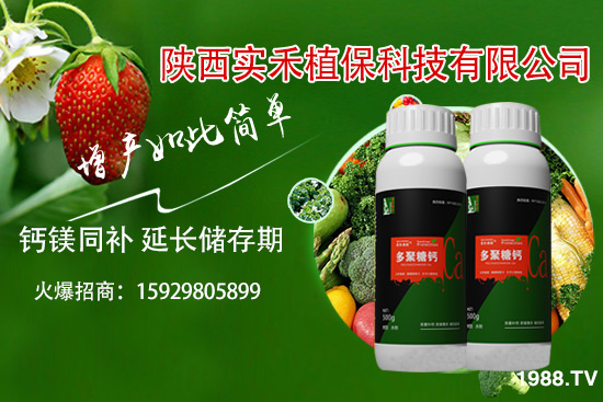 ���t�����~��ʲôԭ�������t�����~���δ�ʩ����Щ��