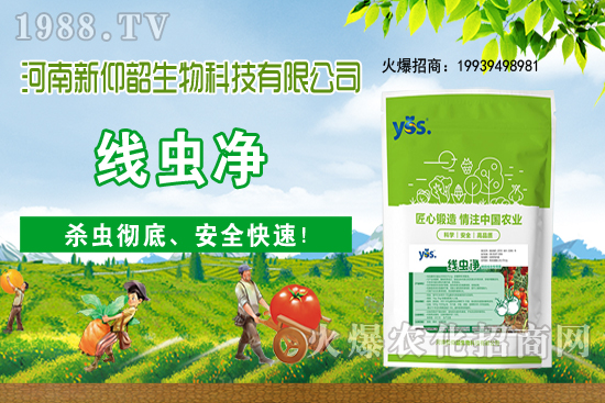 11��6�Շ���(n��i)С���r���ව(w��n)���ֲ�С��������