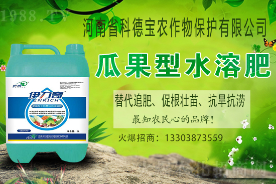 �����M��Ě��ʲô�r��������У�������x�M��Ě����