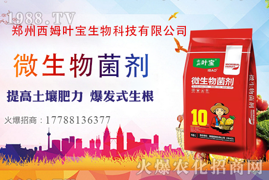     11��7�ղ��օ^(q��)�����r������C��������