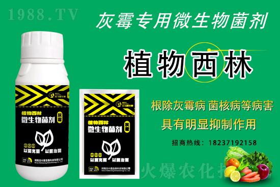 ��ù�������ε�ԭ����ô������Ч������