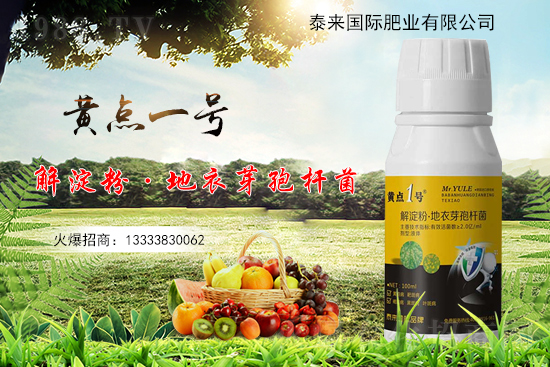 黃瓜葉片起“小黃點(diǎn)”是什么?防治方案有哪些?