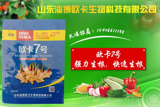 �󽪠����Ӳ���ʲô�����󽪠����Ӳ���ʲôˎ�÷���