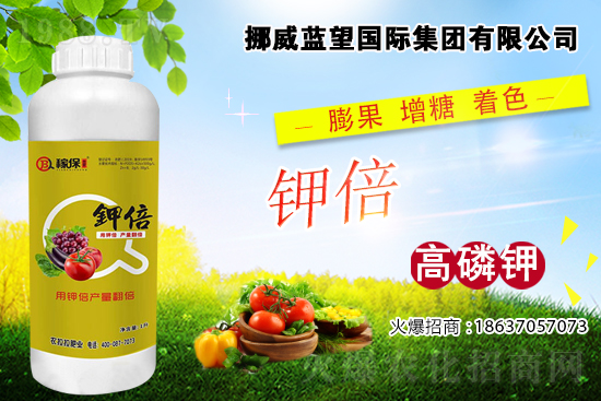 ���t����ɫ��쿴�ǲ����@Щԭ�������t����ɫ��ʩ