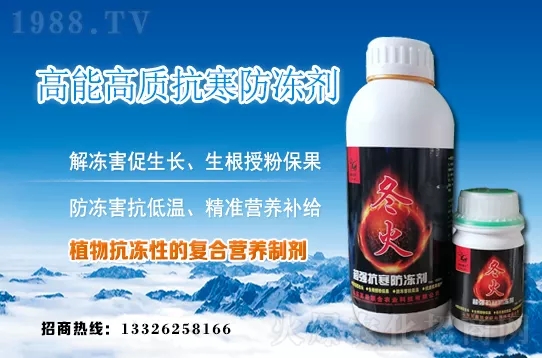 早春韭菜如何施肥？韭菜施肥方法和注意事項(xiàng)！