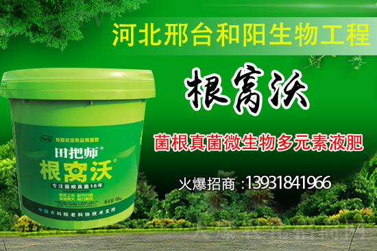 ��Щ��������������������ȡʲô��ʩ���Է��Σ�