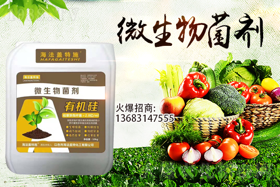 ������(l��i)�u��������m(x��)�͜�����������Ҫ�c(di��n)��