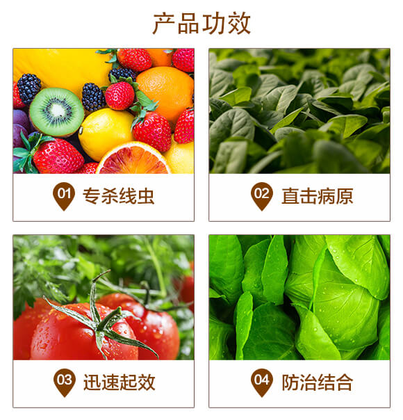 �����T(m��n)���������ľù����(f��)�Ͼ���-�൶-���u֮��_03