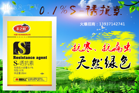 �P(gu��n)��ֲ���{(di��o)����S-�T���������˽������