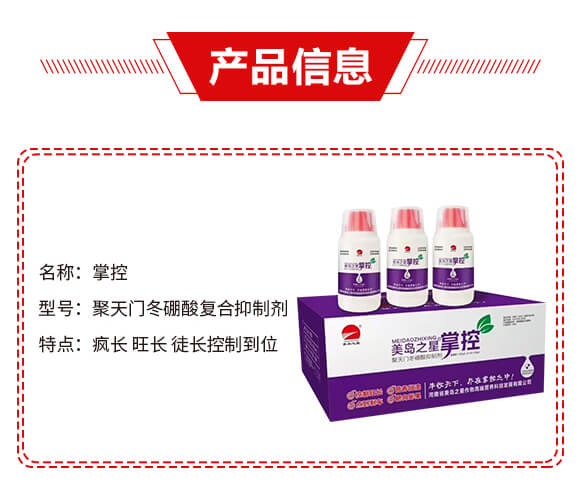 �����T�������(f��)�����Ƅ�-�ƿ�-���u֮��_02