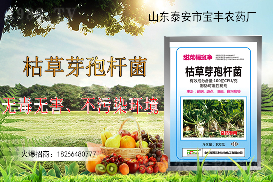 枯草芽孢桿菌能解決作物哪些問題?枯草芽孢桿菌在農(nóng)作物上的應(yīng)用!