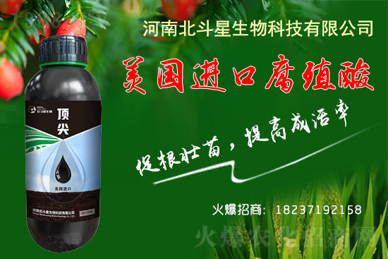 �ؗ͜l����������Nֲ��������������B(y��ng)�����o��