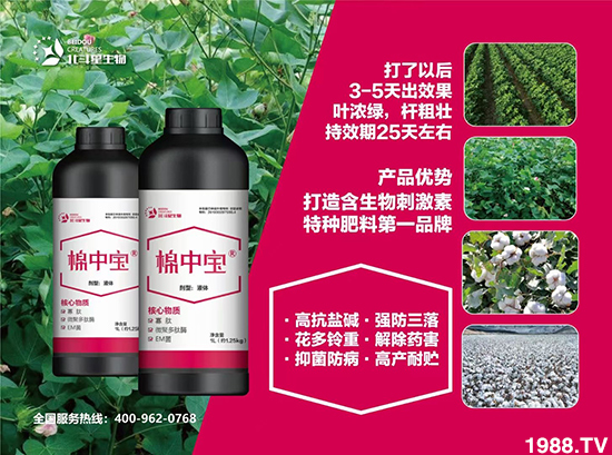 特種肥為什么這么火?有什么特點(diǎn)之處?