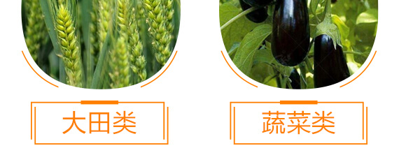 有機水溶肥料-多肽氮肥-一畫農(nóng)業(yè)_11