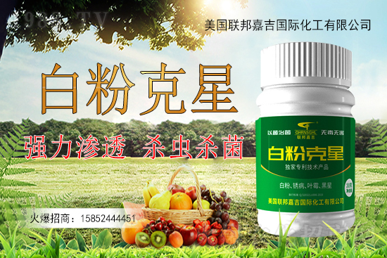 �����׷۲�����y�Է����������׷۲������ˎ����Ч������