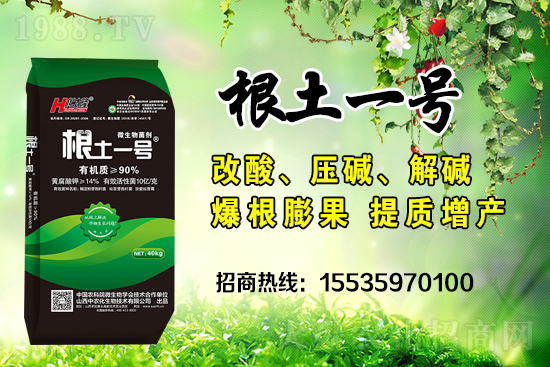     ΢��������е�΢������ʲô������΢�����������θ��������ģ�