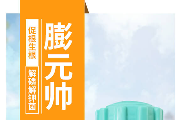 ��Ԫ��-ϲ�r��-�W��ɭ_01