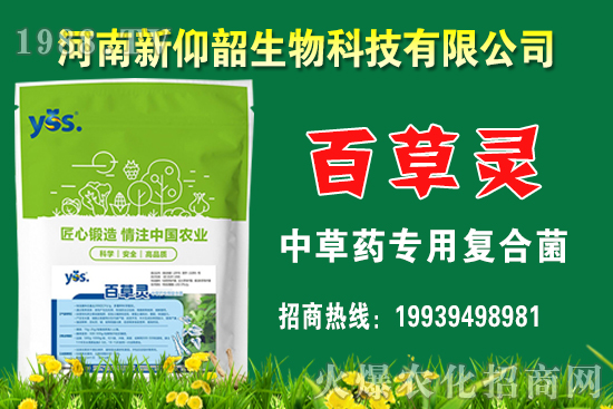 ����С���r��߀���q����2020��12��С���r��������Σ�